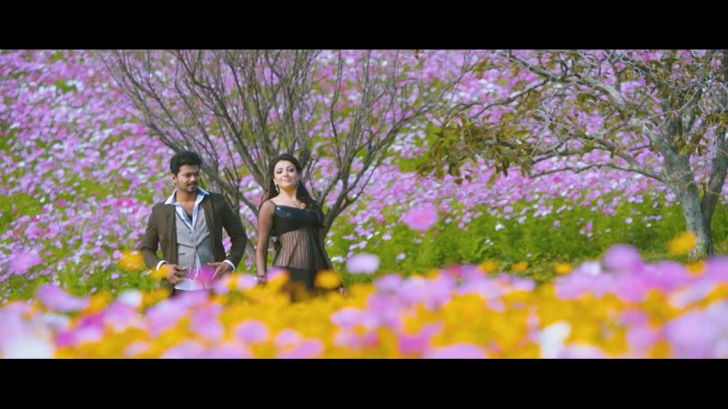 Jilla 2014 ungeschnittener 1080p Bluray South Movie org Hindi oder Tamil x264